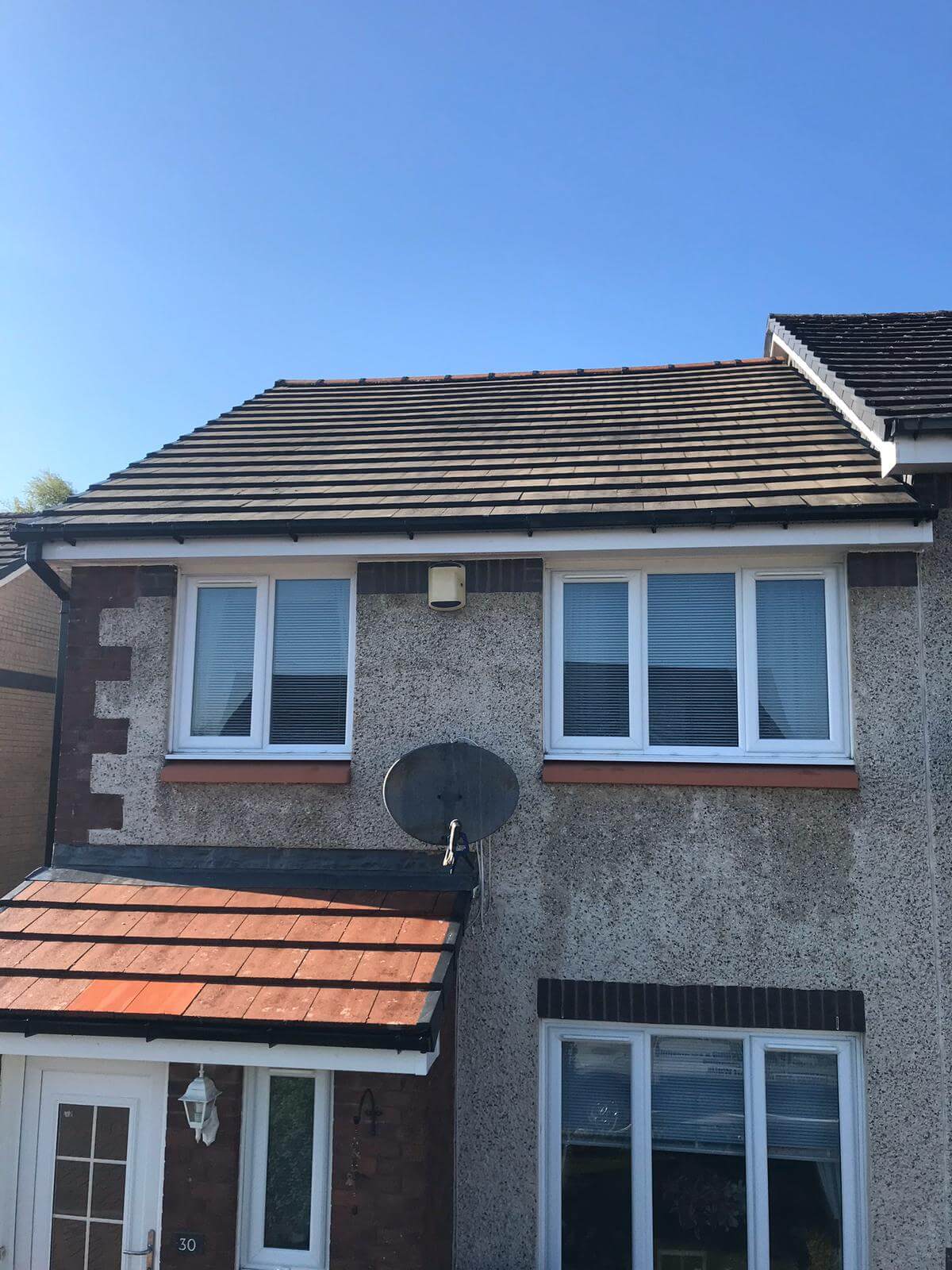 Moss Removal Services from Exterior Cleaning Services Ltd