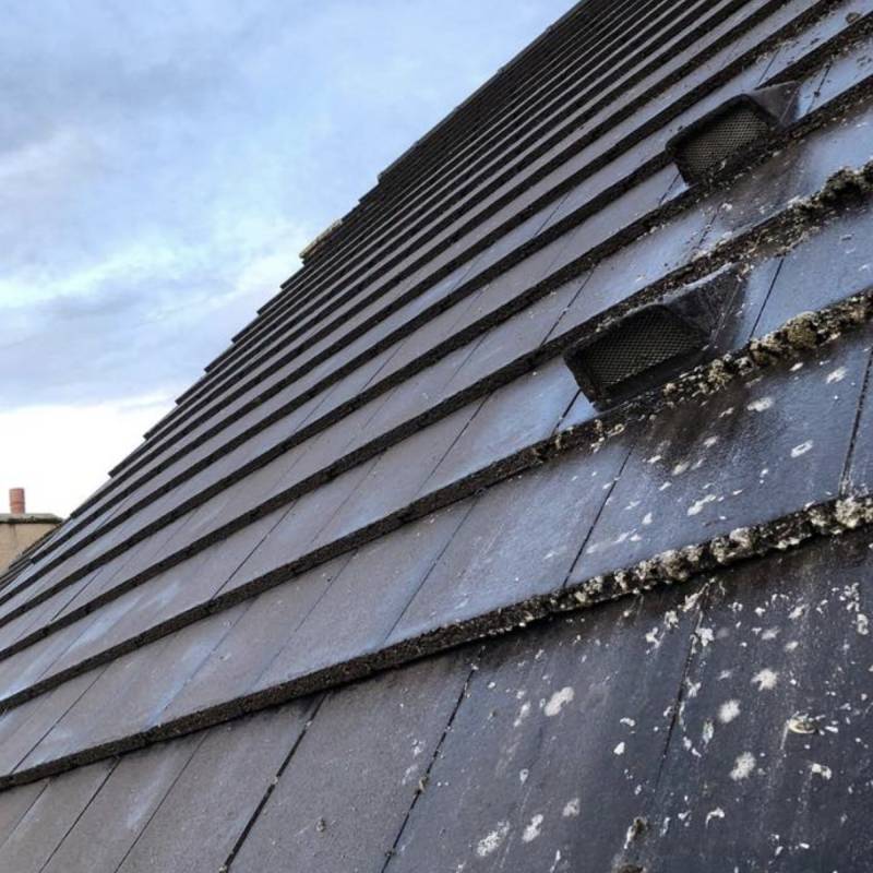 Roof Cleaning Services from Exterior Cleaning Services Ltd